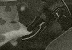 "If I am going to be the leader of my own people, then... This is me taking responsibility and making up for what sins my hands have been sullied by before my awakening..."